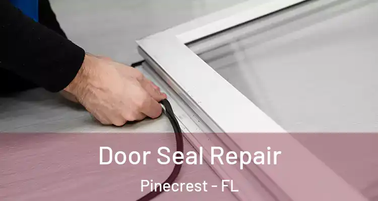  Door Seal Repair Pinecrest - FL