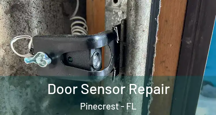  Door Sensor Repair Pinecrest - FL