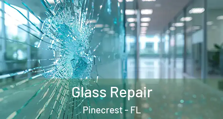  Glass Repair Pinecrest - FL