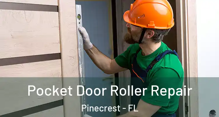  Pocket Door Roller Repair Pinecrest - FL